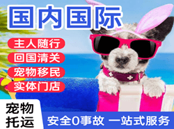 合肥新桥航空运输国际宠物托运 【国